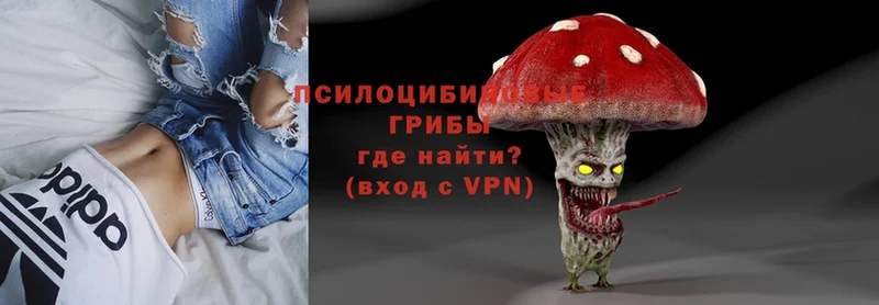 Галлюциногенные грибы Magic Shrooms Нея